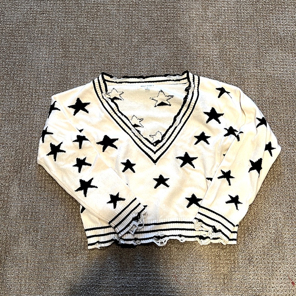 Wild Honey V neck sweater